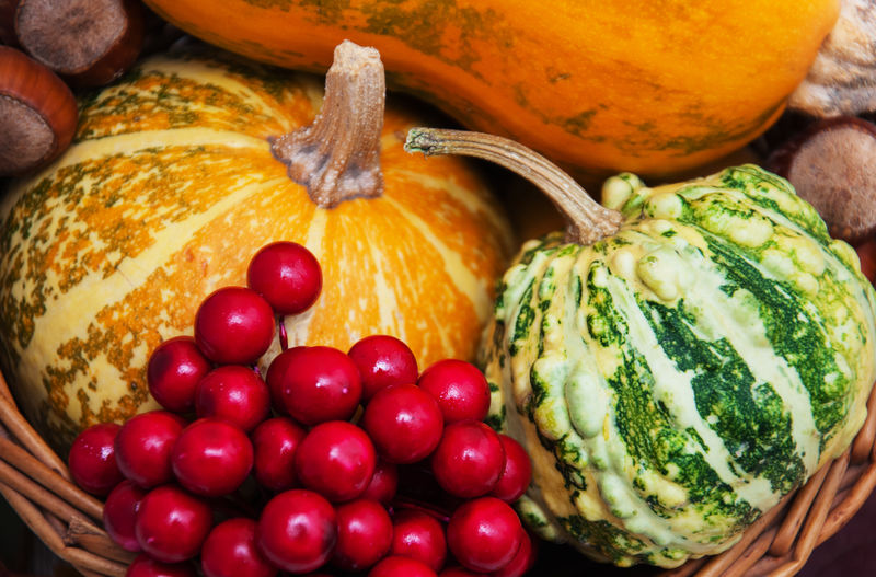 南瓜和树叶收获背景