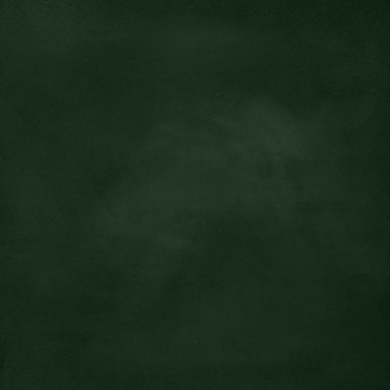 绿色黑板背景-在绿色的学校板上空无一人-矢量图