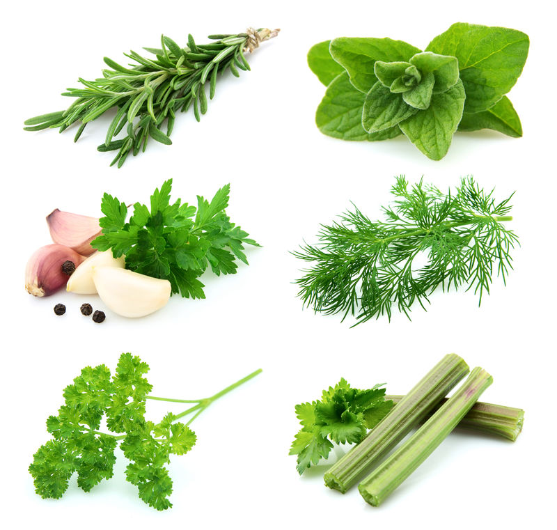 白色背景的绿色和果汁香料拼贴