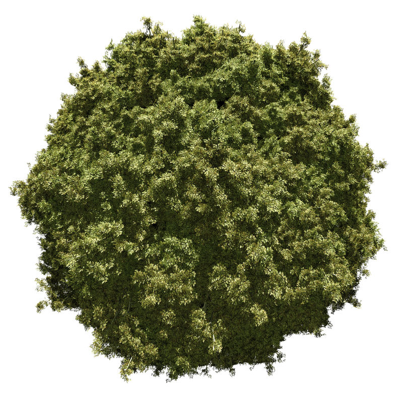 小型行星-有多叶植被-孤立在白色上