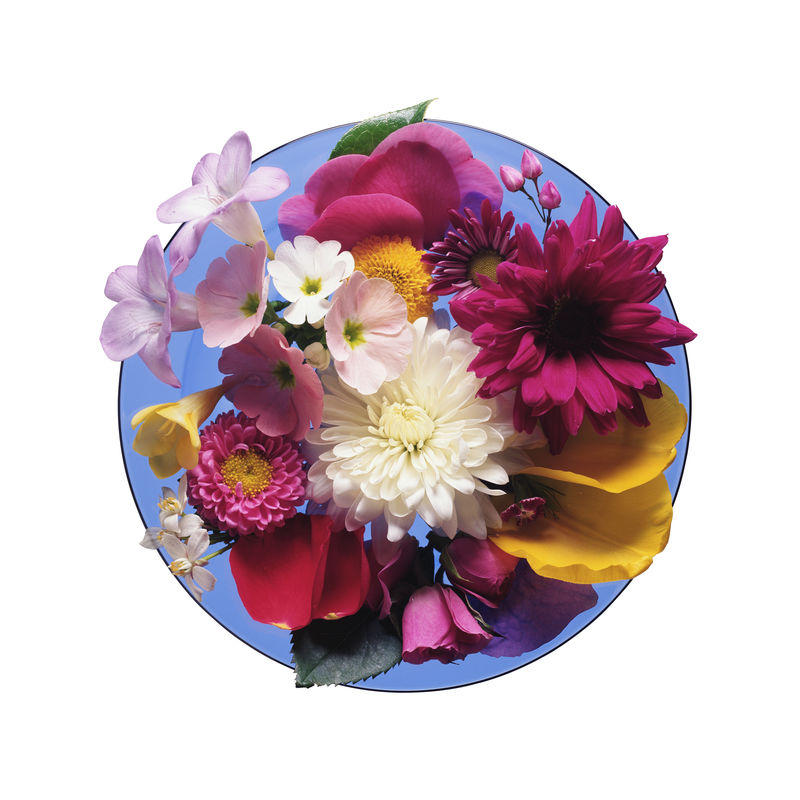 白色背景下的一束漂亮的圆形紫罗兰花-顶视图