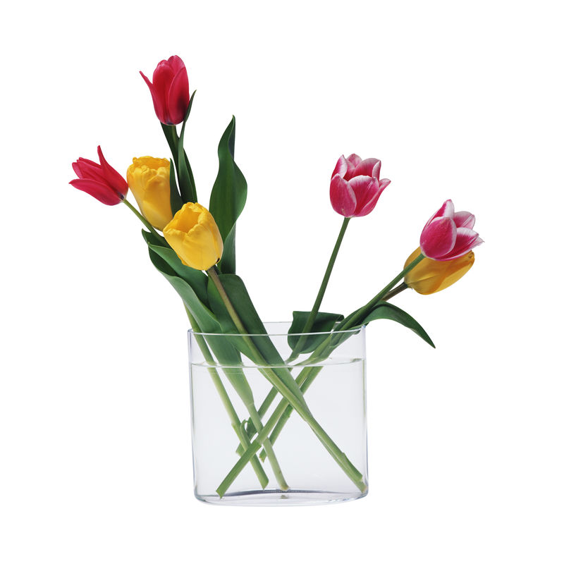 玻璃花瓶里的郁金香