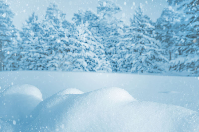 冰雪覆盖森林的冬季景观