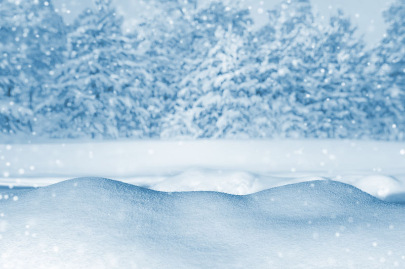 冰雪覆盖森林的冬季景观