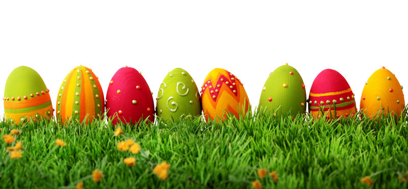 绿色草地上一排五颜六色的复活节彩蛋