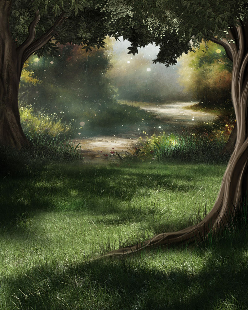 夏天在绿色森林里日出