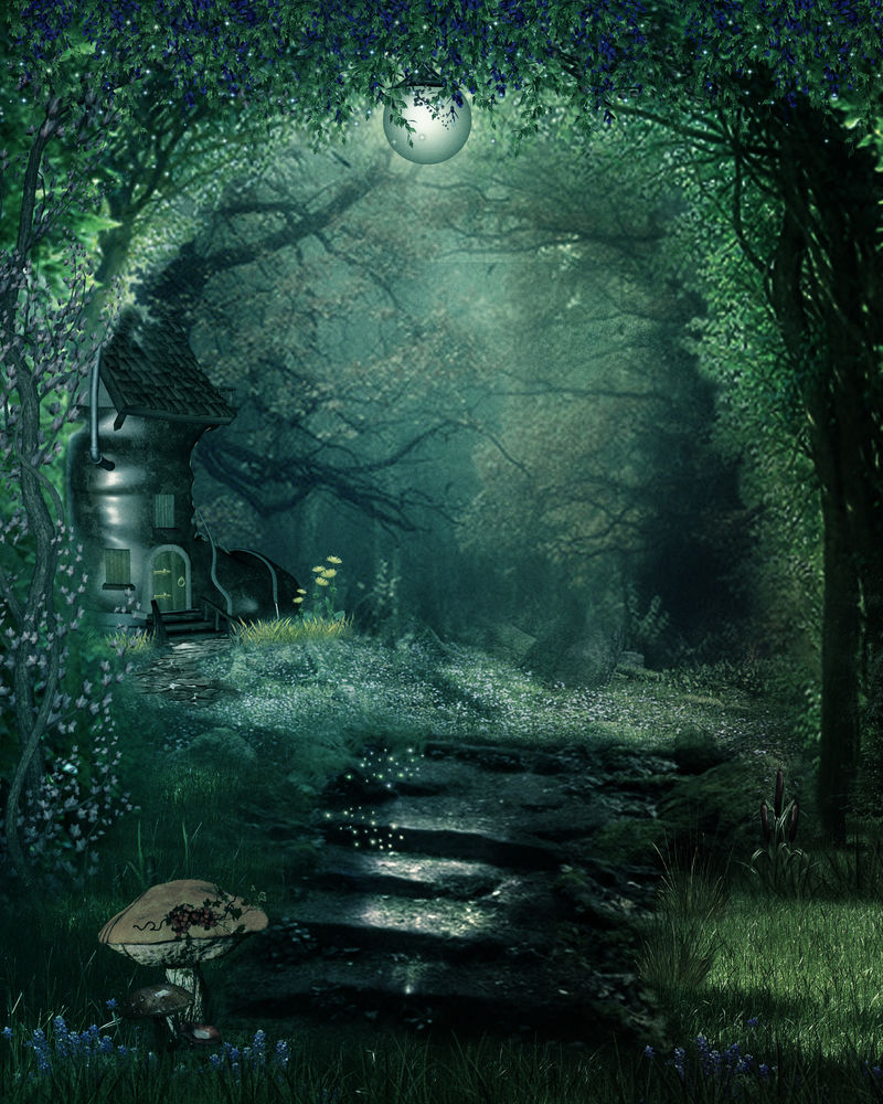 童话神秘森林素材 高清图片 摄影照片 寻图免费打包下载