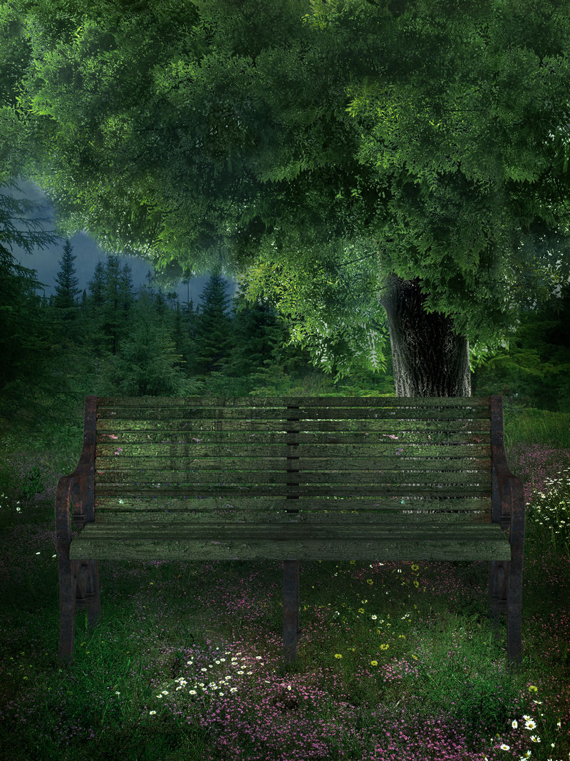 美丽的池塘公园