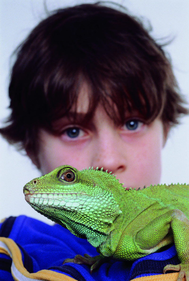 男孩与蜥蜴