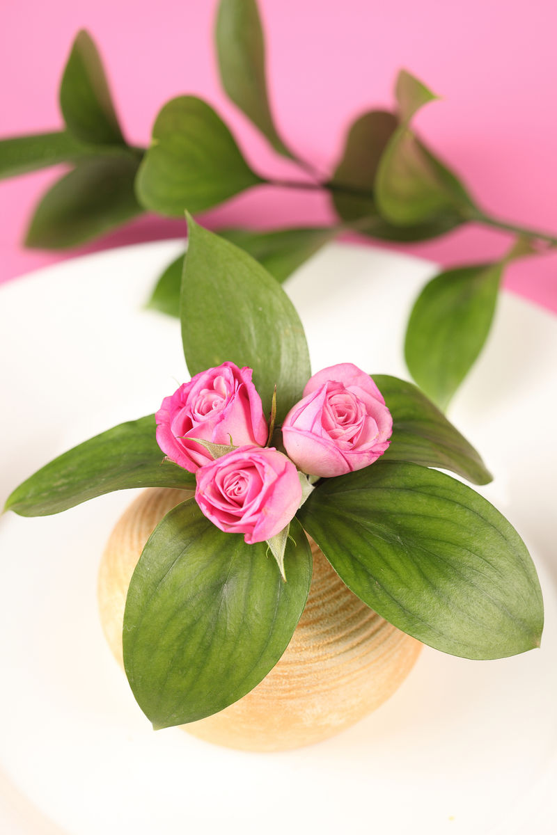 在绿叶的背景下-亮粉色的大玫瑰！