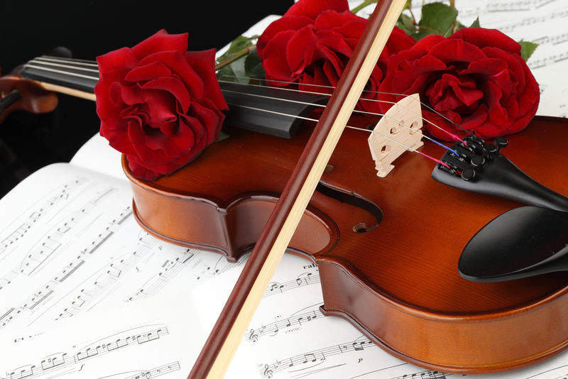 俄罗斯圣彼得堡 16年11月 黑色背景下红色玫瑰的小提琴 小提琴 弦乐器素材 高清图片 摄影照片 寻图免费打包下载