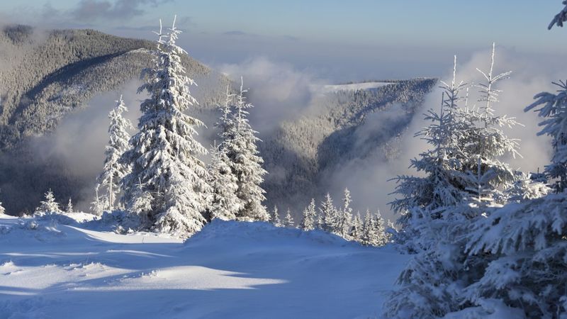 山中美丽的冬日清晨