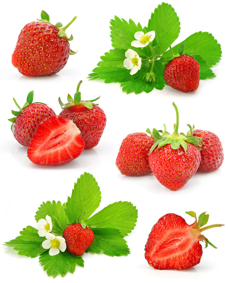 白底红草莓果实的采集