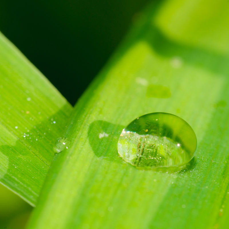 水滴漣漪雨