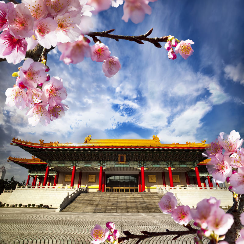 用于ADV或其他用途的樱花明信片