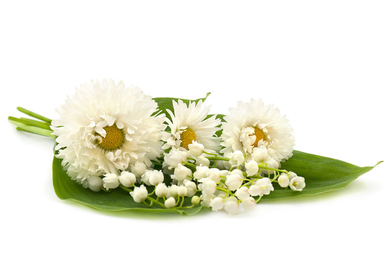 一束白百合山谷和白底英国雏菊（BellisPerennis）