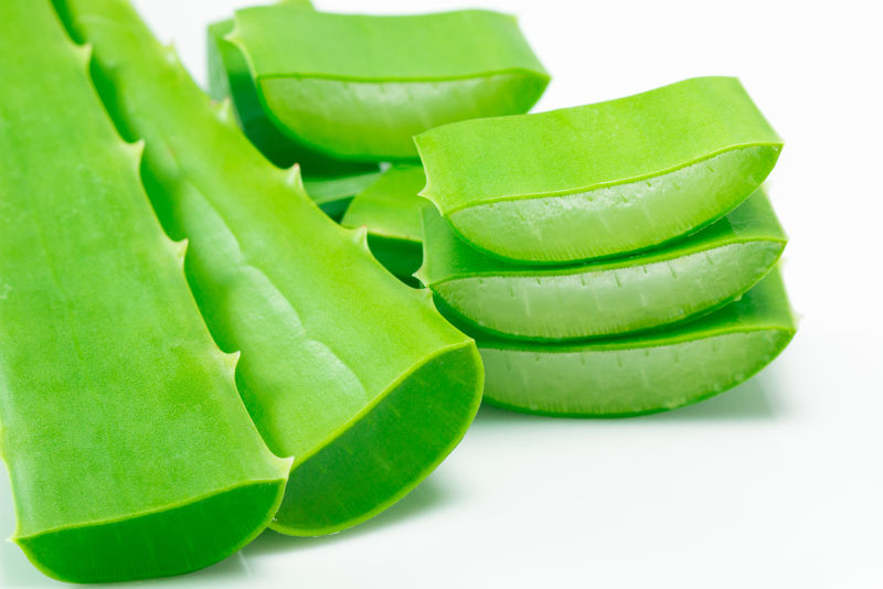 芦荟