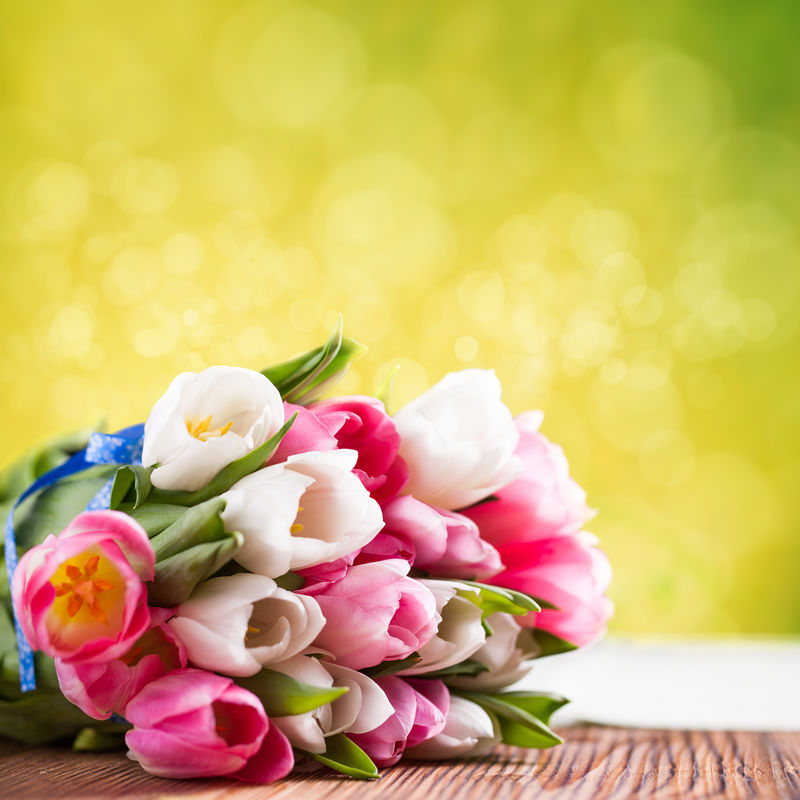 在frühlingshintergrund郁金香