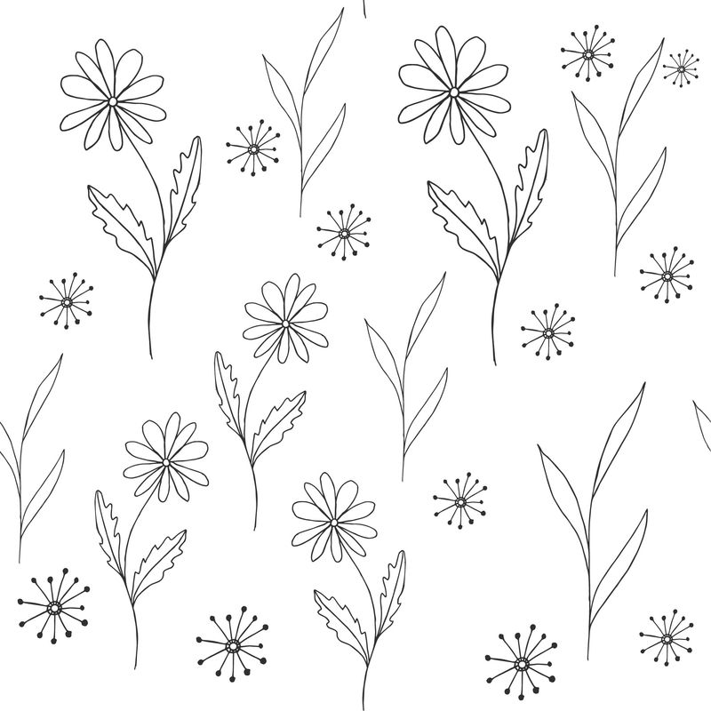 无缝图案-装饰花卉洋甘菊-自然野地和草地-白色背景上的矢量草图