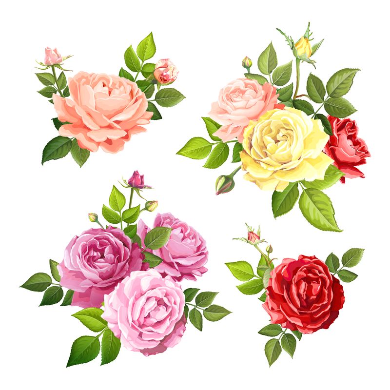 一套美丽的花束 花由红粉红黄和缓的桃子开花的玫瑰和叶子花蕾组成 独立于白色背景 花卉设计元素 矢量水彩插图素材 高清图片 摄影照片 寻图免费打包下载