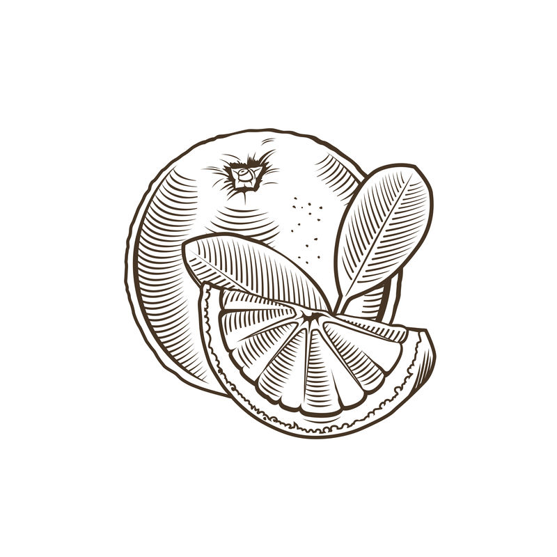 橙色复古风格线条艺术矢量图