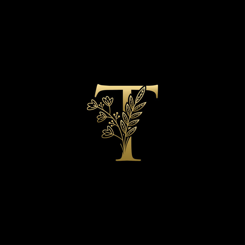 金色奢华T字母标志