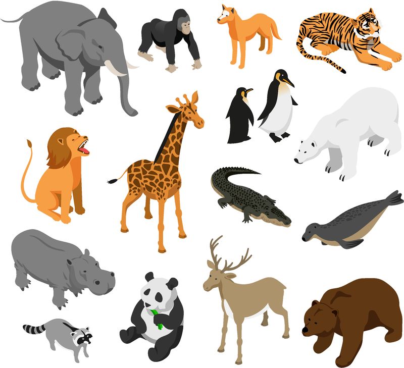 食草动物和捕食性动物园动物白色背景上等距图标的一组孤立矢量图素材 高清图片 摄影照片 寻图免费打包下载