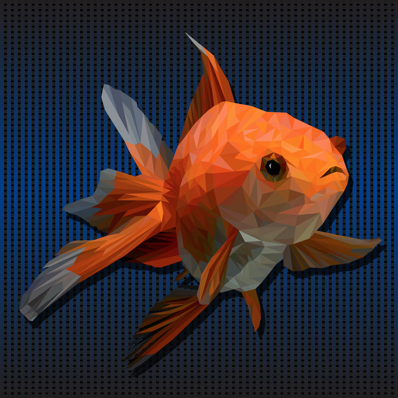 金鱼多边形三维图