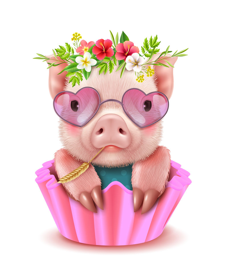 可爱猪写实肖像