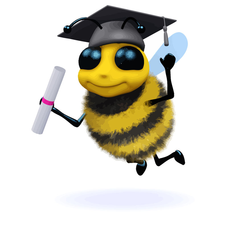 3D蜜蜂毕业生