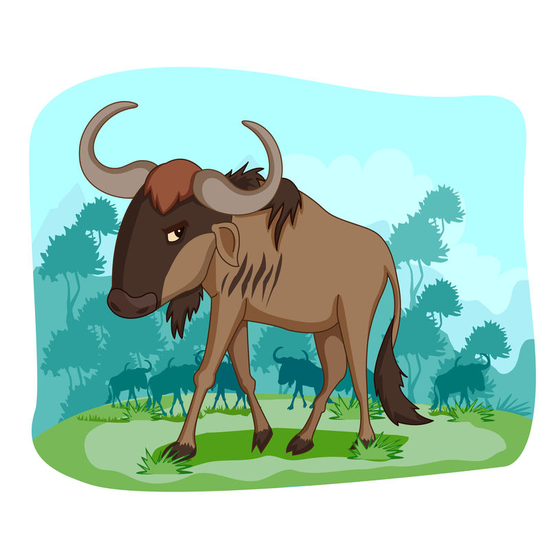 丛林森林背景下的野生动物