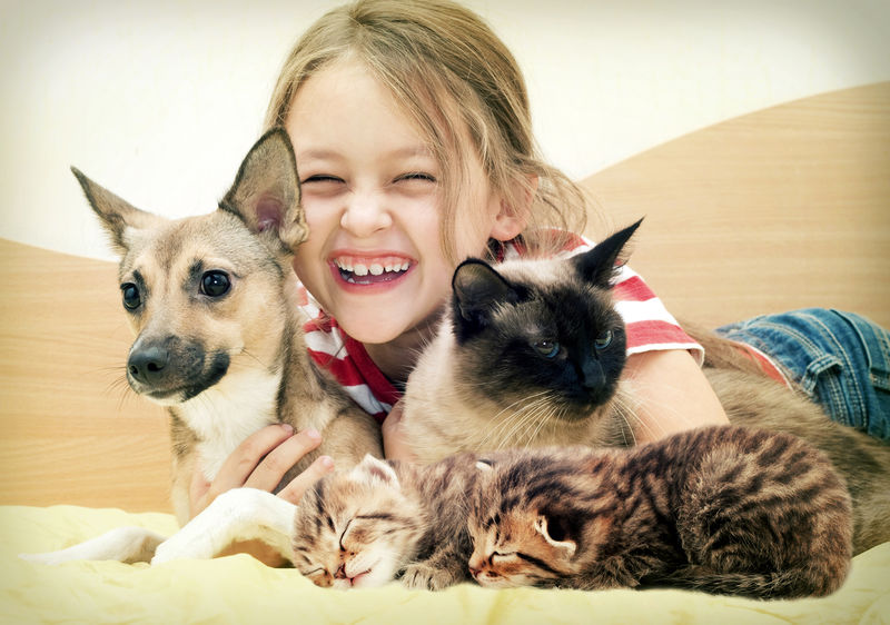 笑孩子-猫-狗和小猫