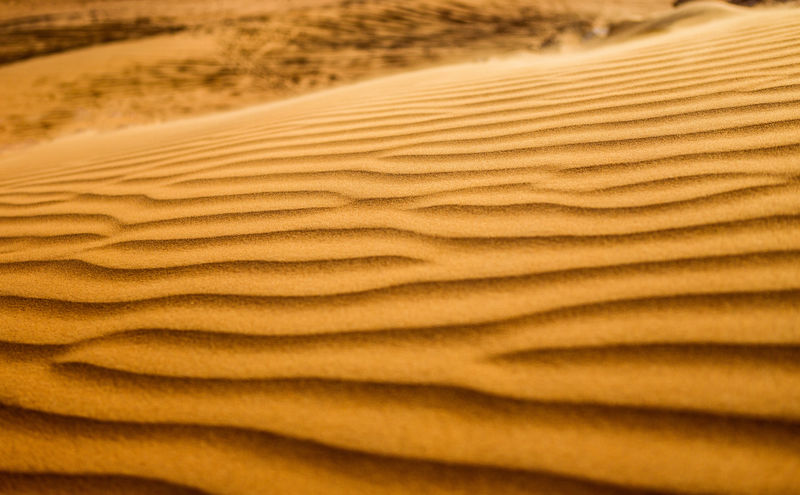 沙漠和沙丘。迪拜。