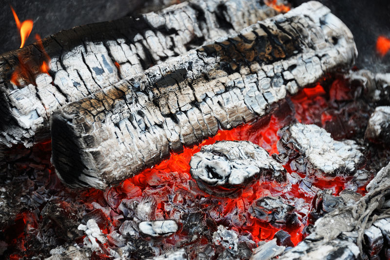 火灾后的红木灰