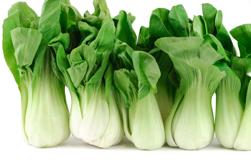 白底白菜绿叶亚洲蔬菜