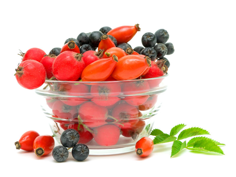 白底玫瑰果、山楂和夹竹桃