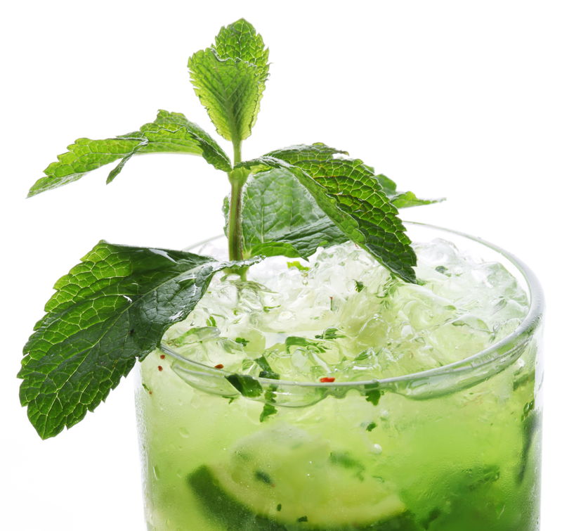 莫吉托山顶的特写镜头。