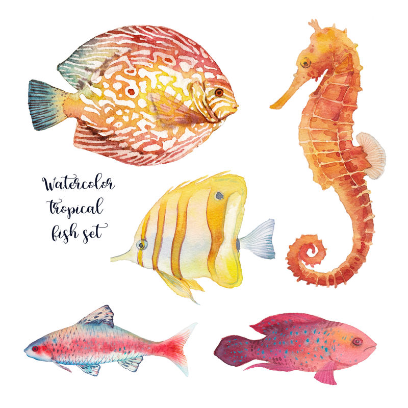 水彩热带鱼套装白色背景下珊瑚礁鱼类和海马的手工绘制水下动物插图