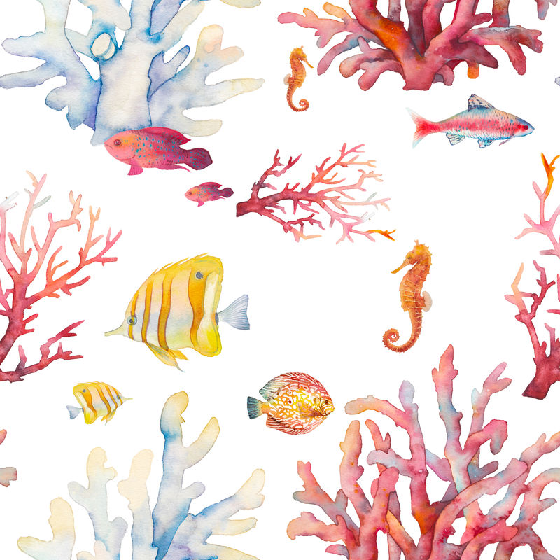 手绘写实的背景设计:热带鱼类,珊瑚,白色背景的海马