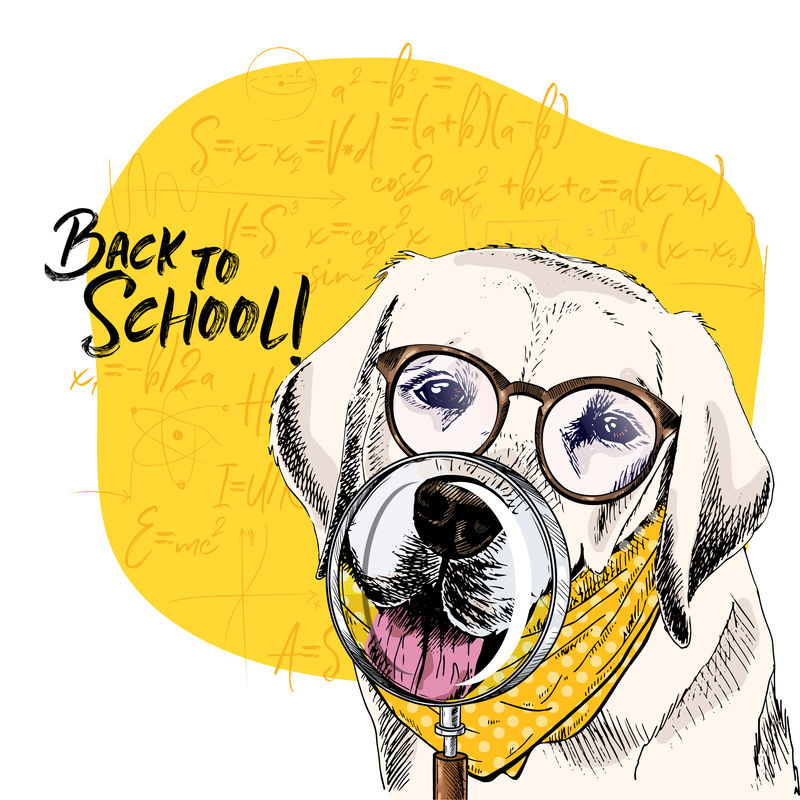 带有放大镜和大鼻子反射的拉布拉多猎犬矢量图。回到学校的插图。后台的数学公式。手绘宠物门。学习海报，学生动画片。