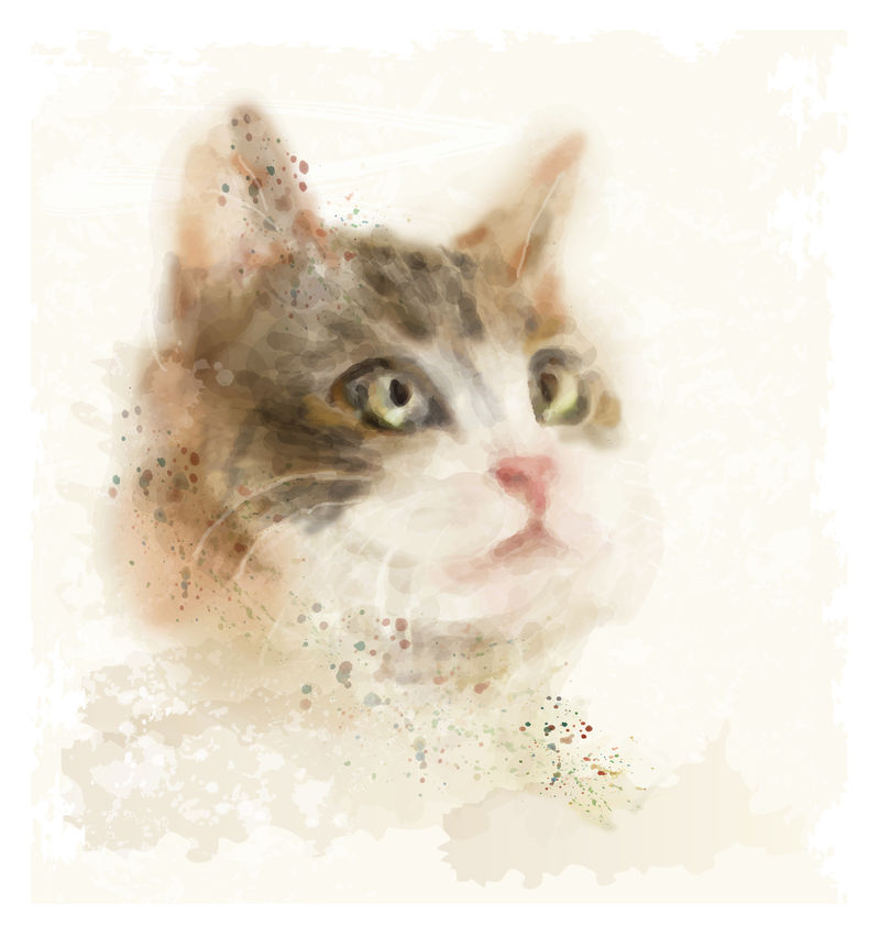 古典手工绘制的猫的水彩画肖像