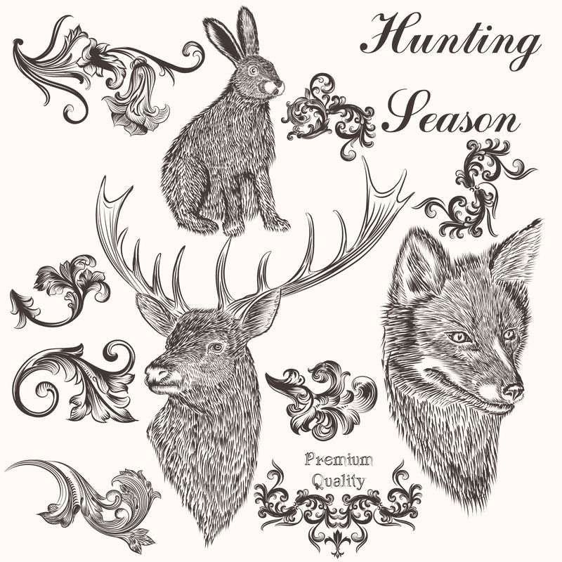 用于设计的载体详细动物集