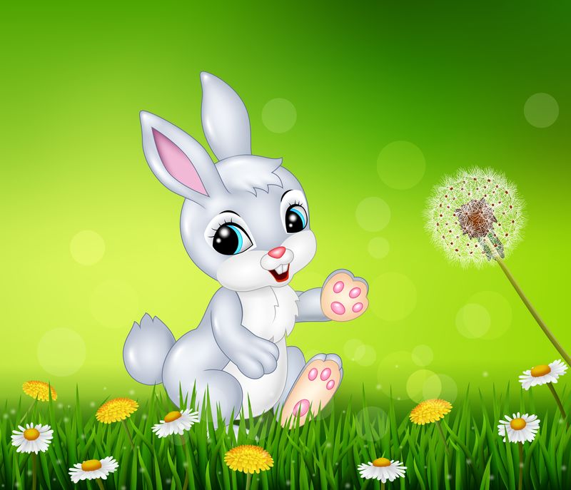 小兔子走在草地上