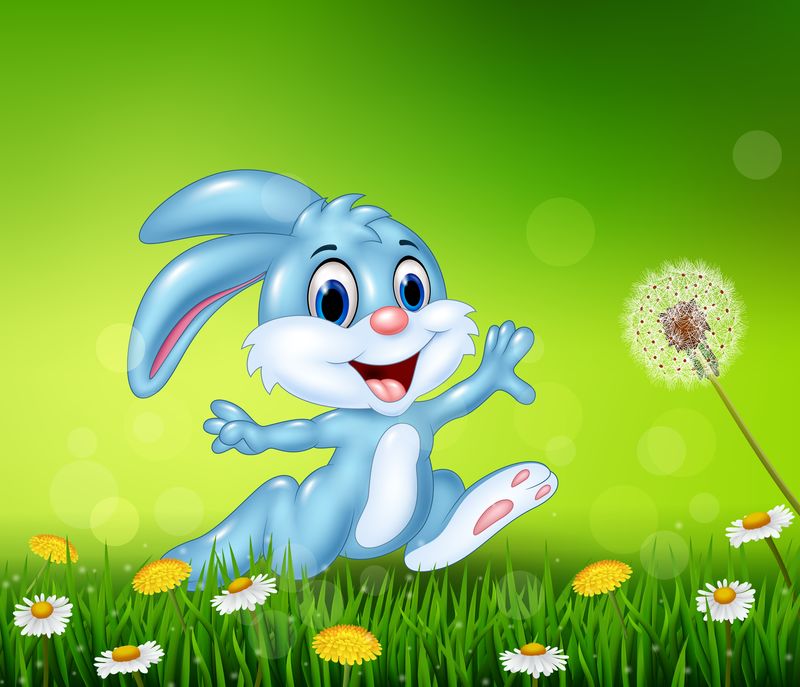 快乐的小兔子在草地上跳跃