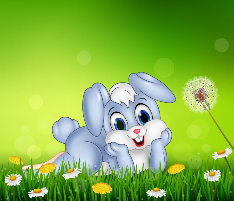 草底可爱的小兔子