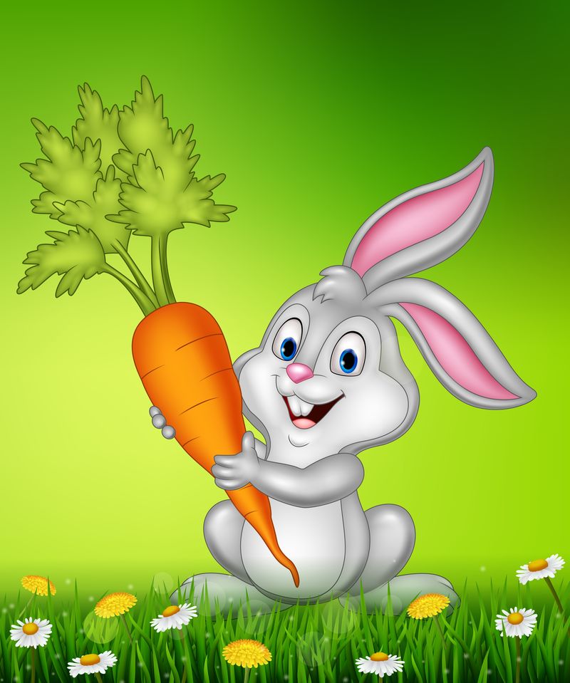 抓着胡萝卜的兔子