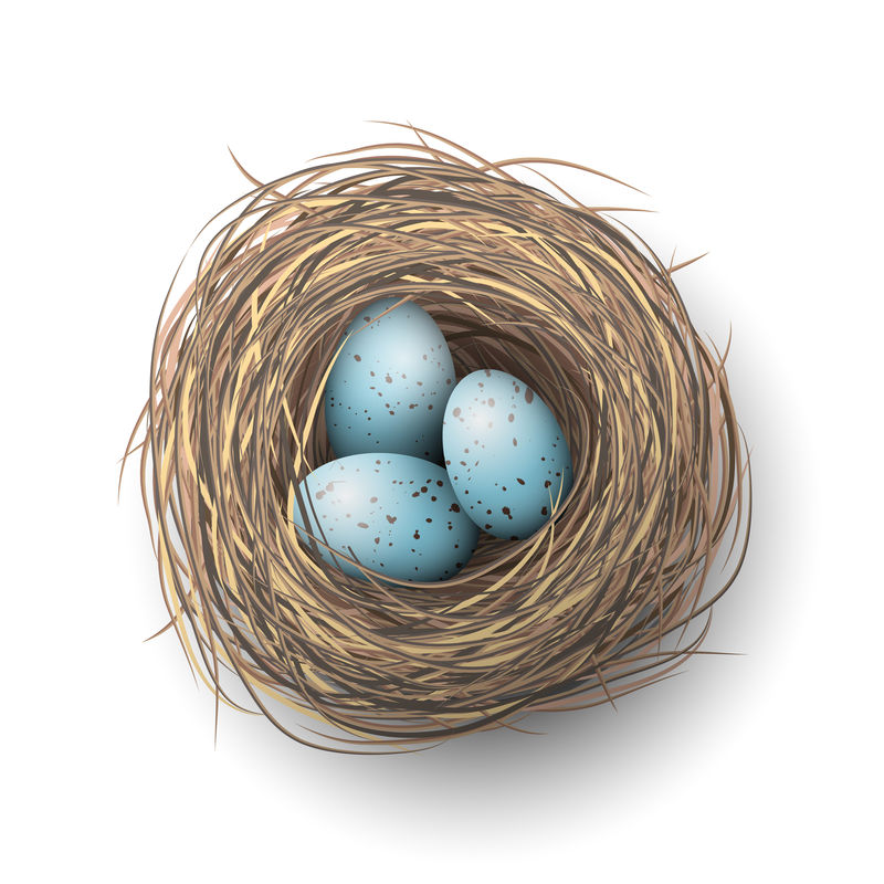 白底蓝蛋筑巢，插图