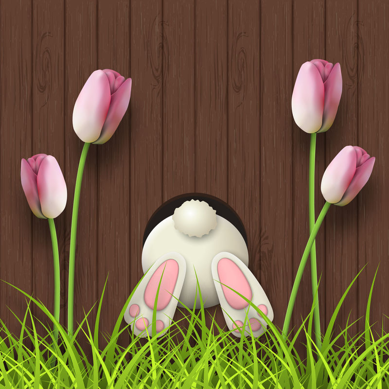 复活节动机，兔子底，深棕色木质背景上的粉红色郁金香和新鲜草，插图