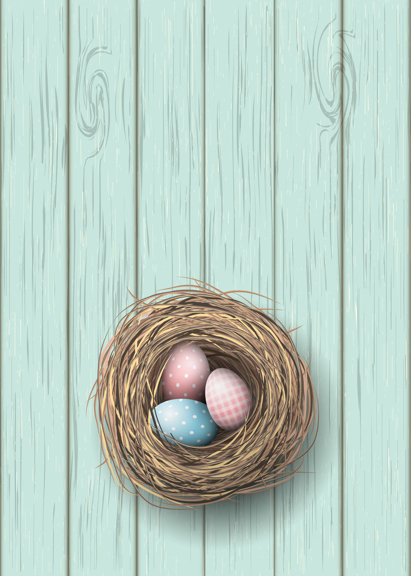 用蓝色和粉红色的鸡蛋在蓝色木质背景上筑巢，插图