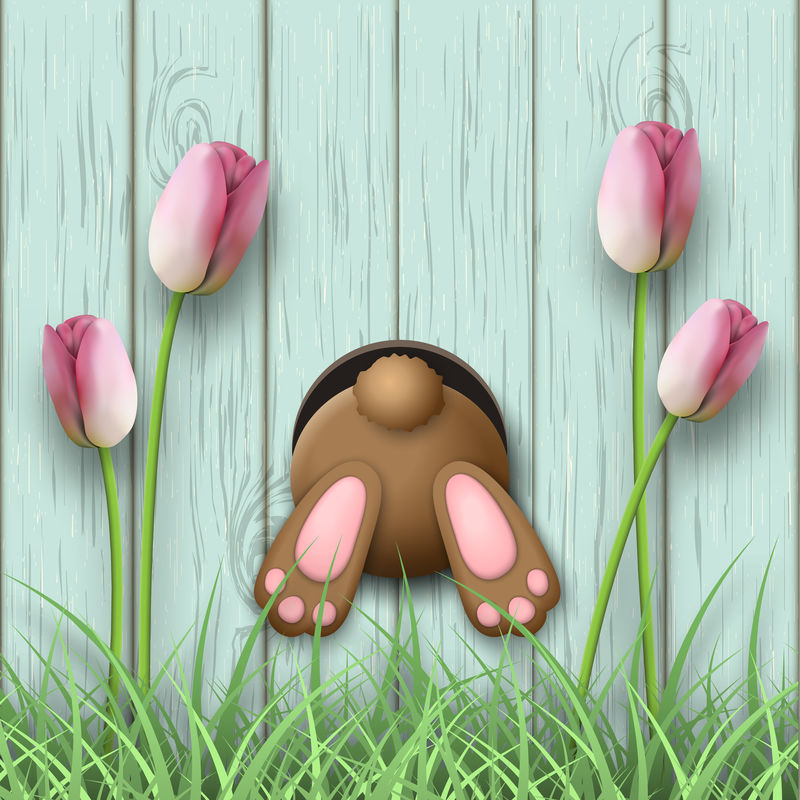 复活节动机，兔子底，粉红色郁金香和蓝色木质背景上的新鲜草，插图